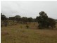 Lot 241 Coopers Road, Red Range NSW 2370