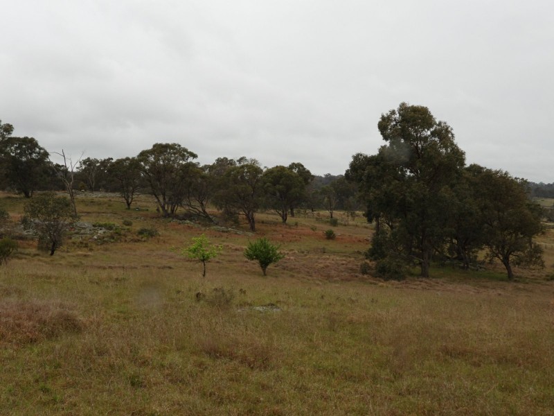 Lot 241 Coopers Road, Red Range NSW 2370