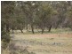 Lot 241 Coopers Road, Red Range NSW 2370