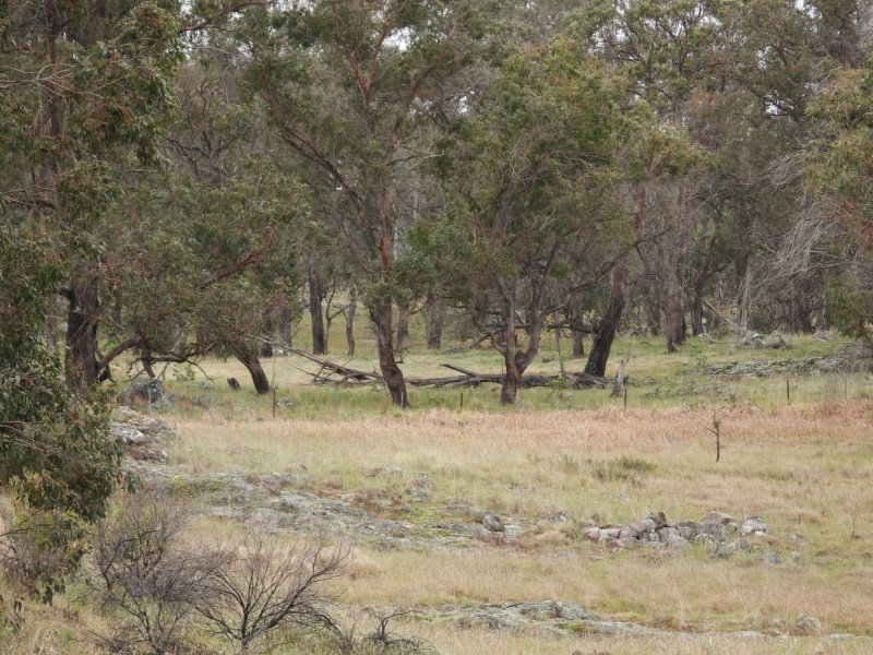 Lot 241 Coopers Road, Red Range NSW 2370