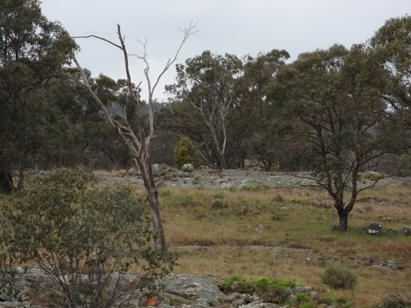 Lot 241 Coopers Road, Red Range NSW 2370