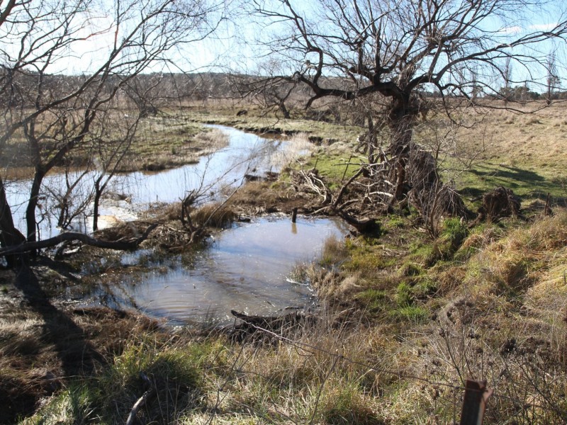 961 Polhill Road, Wellingrove NSW 2370