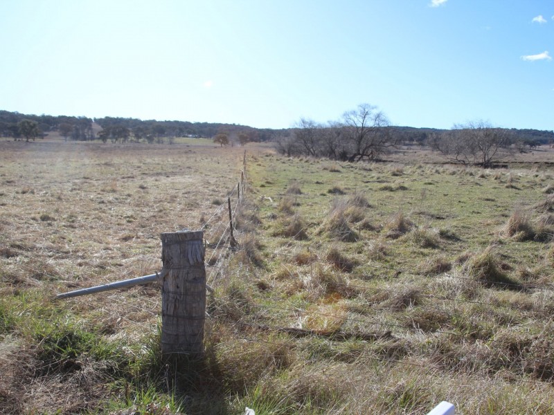 961 Polhill Road, Wellingrove NSW 2370