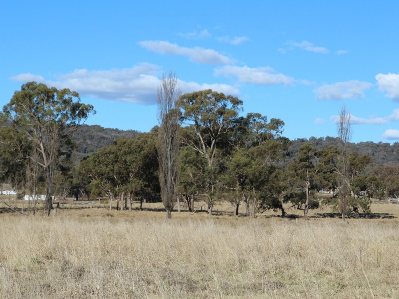 961 Polhill Road, Wellingrove NSW 2370