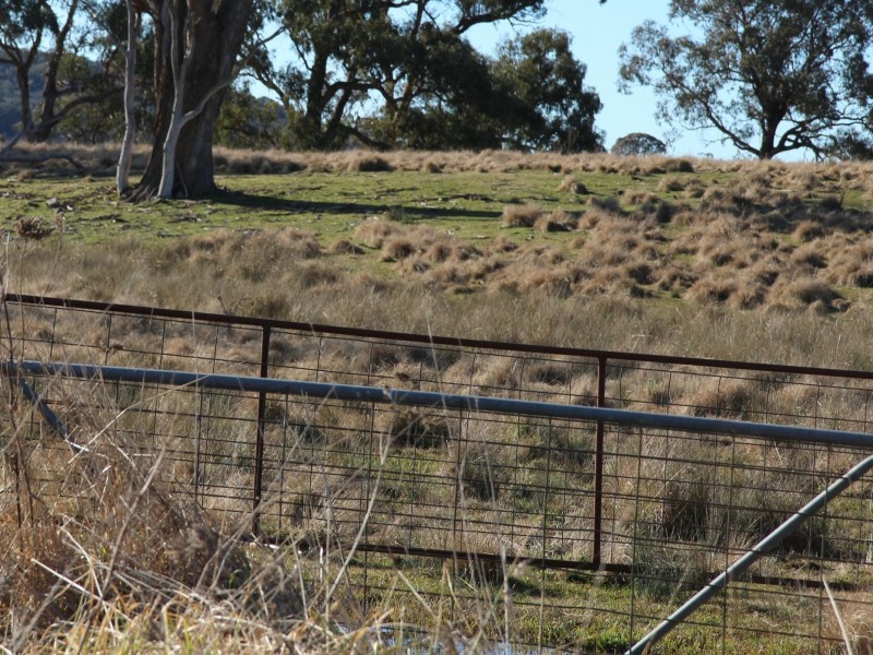 961 Polhill Road, Wellingrove NSW 2370