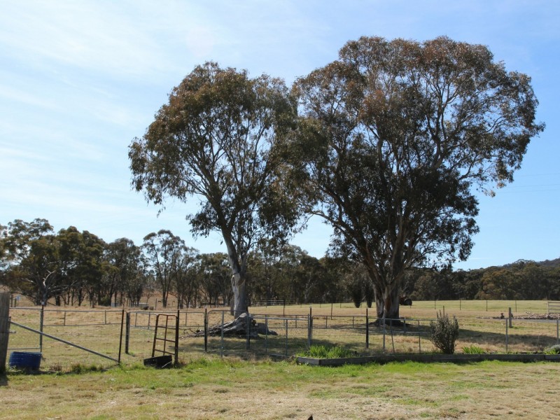 961 Polhill Road, Wellingrove NSW 2370