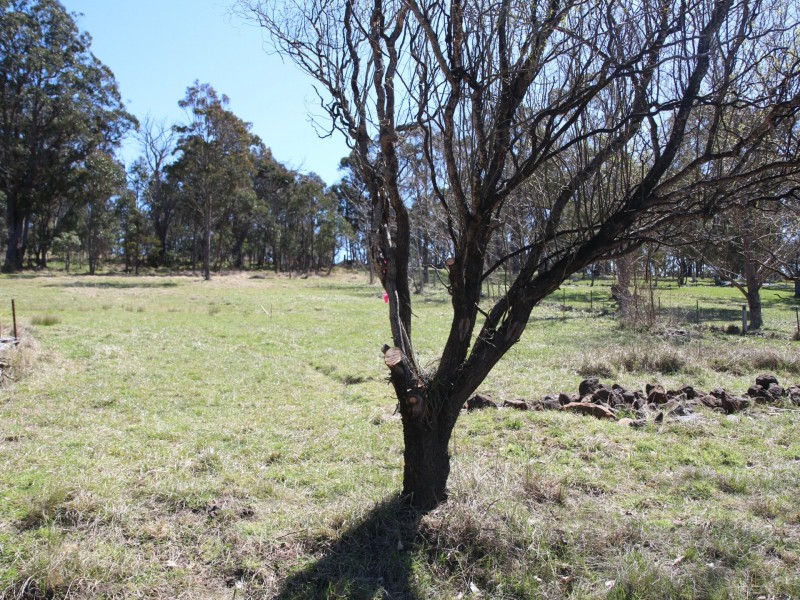 LOT 608 Thomas Street, Glen Innes NSW 2370