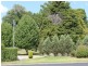 112 West Avenue, Glen Innes NSW 2370