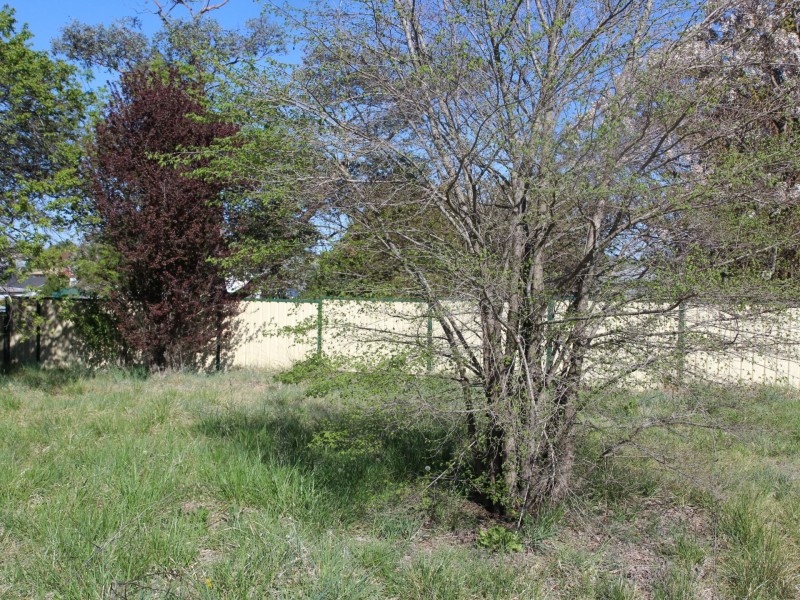 208 West Avenue, Glen Innes NSW 2370