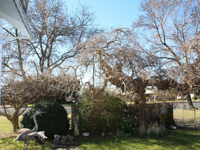 165 Lambeth Street, Glen Innes NSW 2370