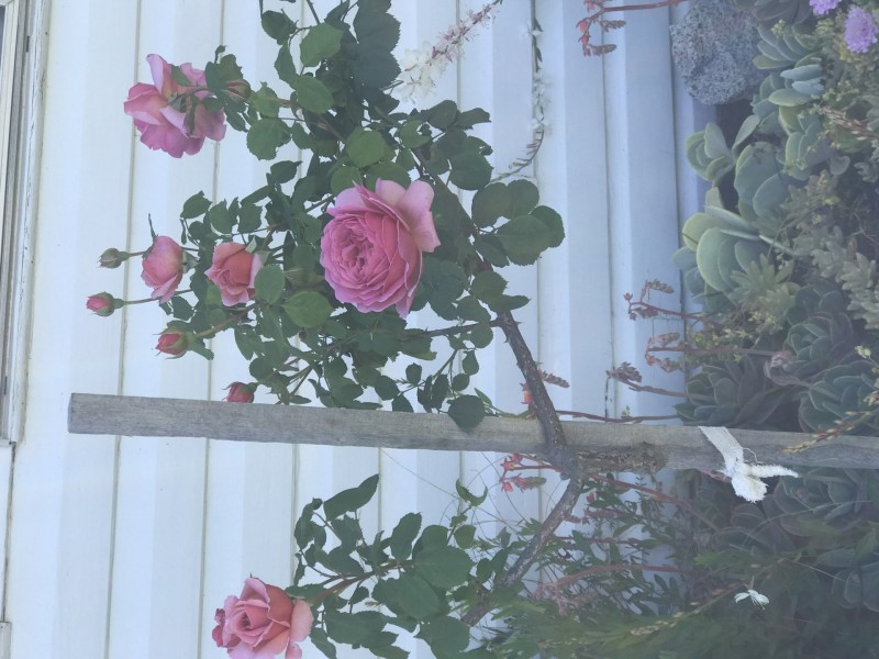 165 Lambeth Street, Glen Innes NSW 2370