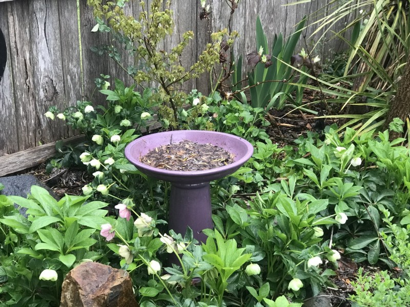 165 Lambeth Street, Glen Innes NSW 2370