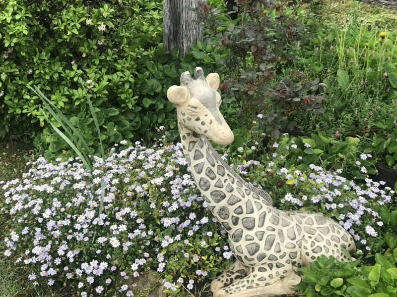 165 Lambeth Street, Glen Innes NSW 2370