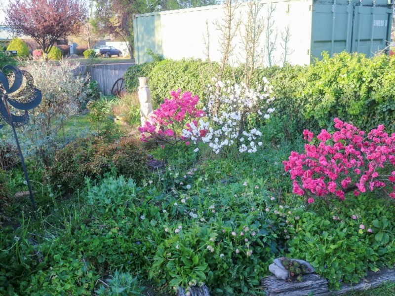 165 Lambeth Street, Glen Innes NSW 2370