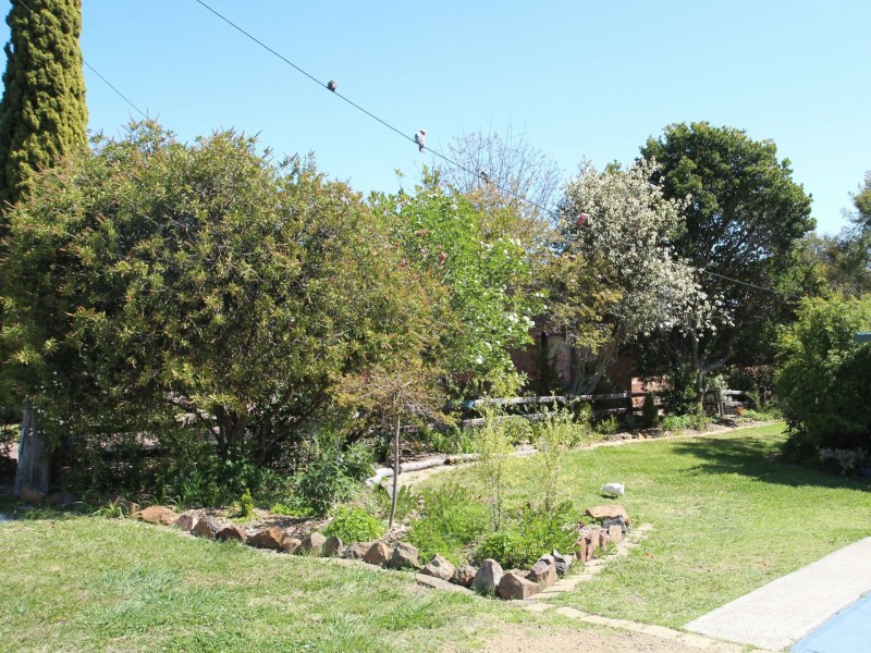 4 Young Street, Glen Innes NSW 2370