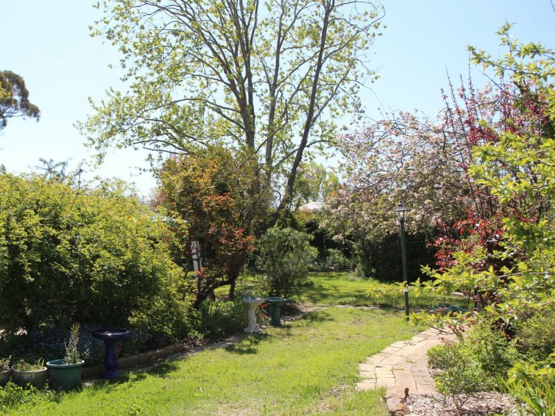 4 Young Street, Glen Innes NSW 2370