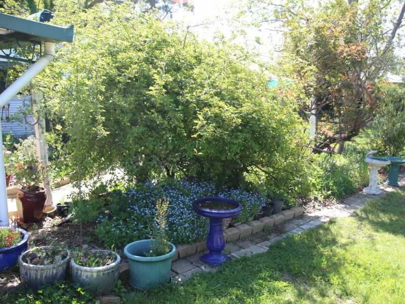 4 Young Street, Glen Innes NSW 2370