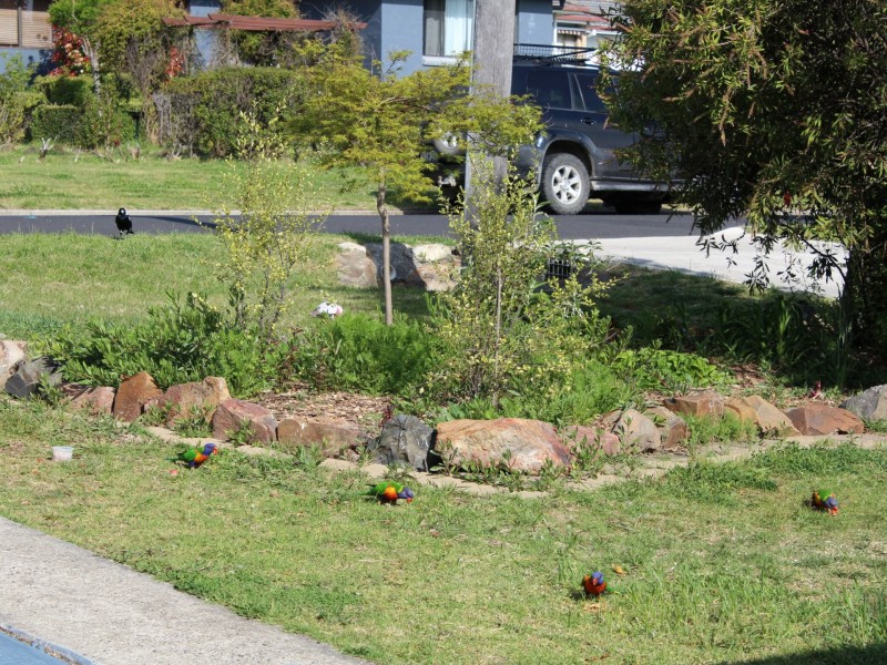 4 Young Street, Glen Innes NSW 2370