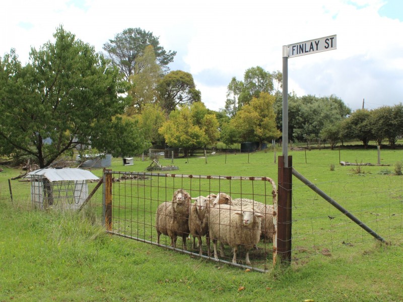 44 Finlay Street, Glencoe NSW 2365