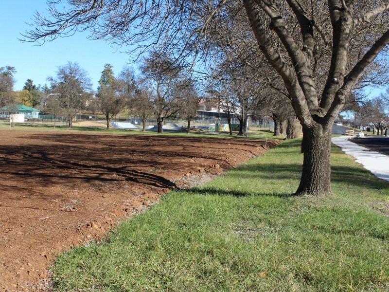 89 East Avenue, Glen Innes NSW 2370