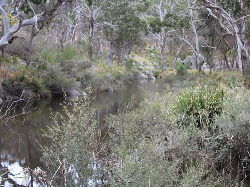 1521 Morven Road, Dundee NSW 2370