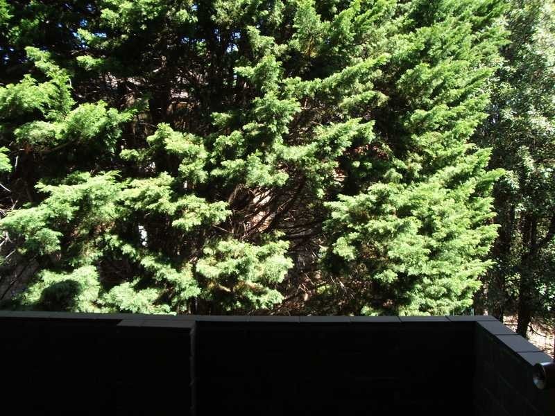 29/5 Stansell Street, Gladesville NSW 2111