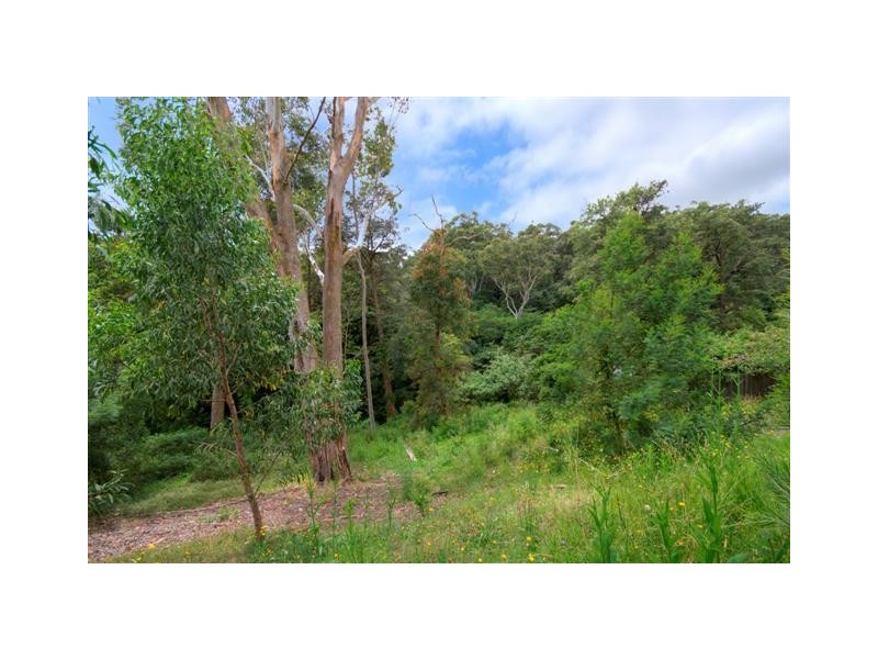 31A Malvina Street, Ryde NSW 2112