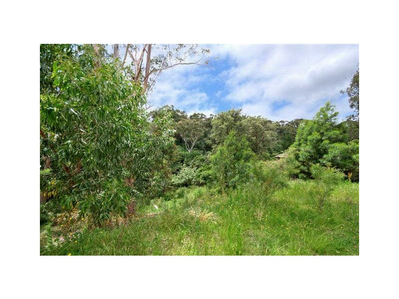 31A Malvina Street, Ryde NSW 2112