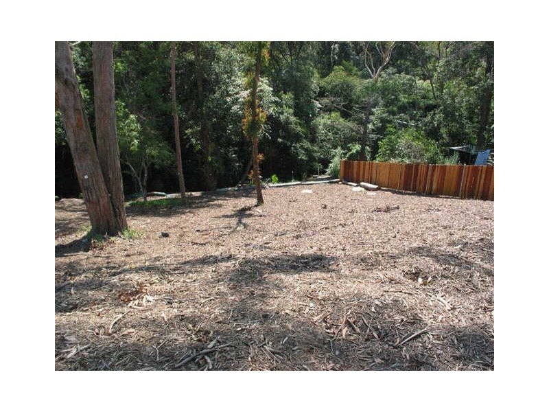 31A Malvina Street, Ryde NSW 2112