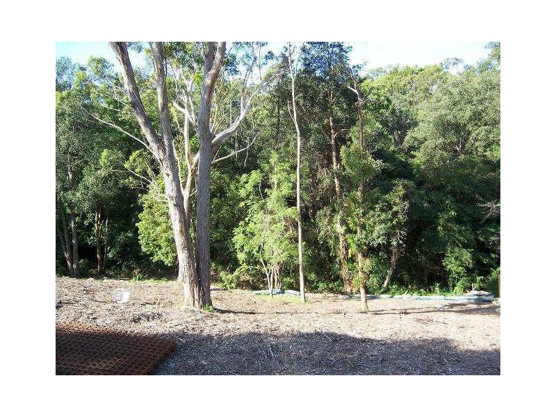 31A Malvina Street, Ryde NSW 2112