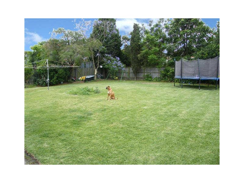 7 Eltham Street, Gladesville NSW 2111