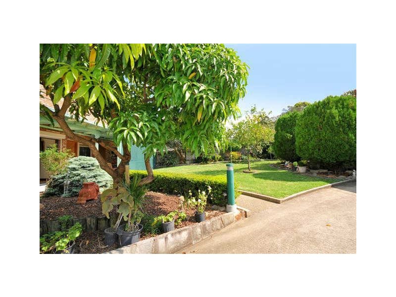 14 Frances Road, Putney NSW 2112