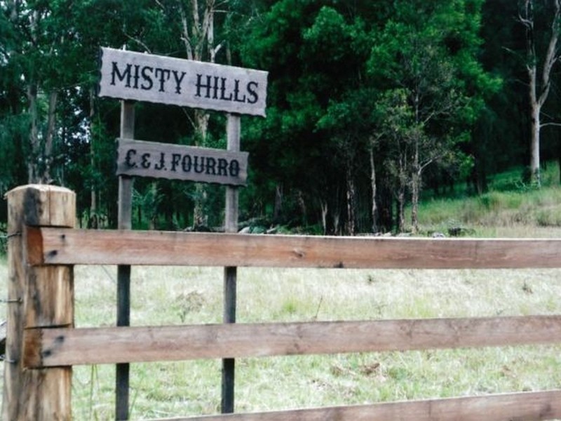 ‘Misty Hills’/132 Craven Creek Road, Rookhurst NSW 2422