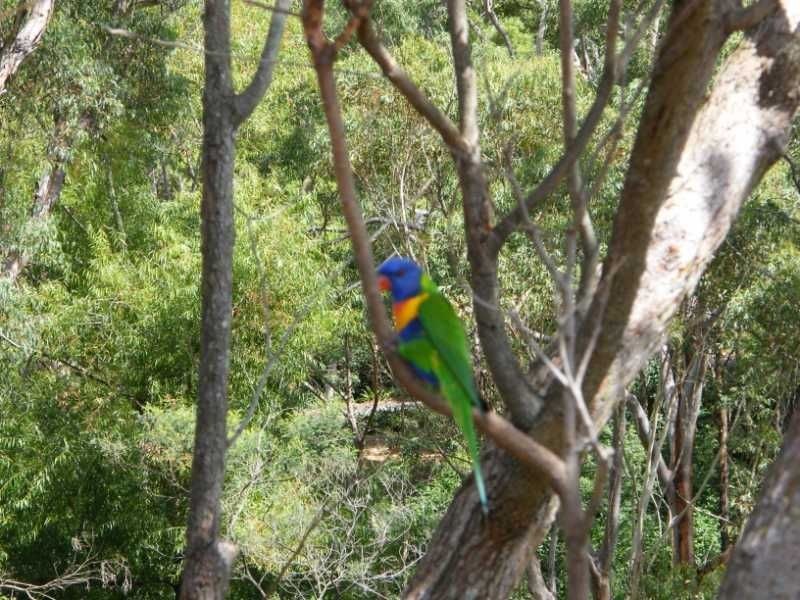 11/4 Leisure Close, Macquarie Park NSW 2113