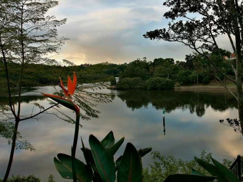 1A Bonnefin Road, Hunters Hill NSW 2110