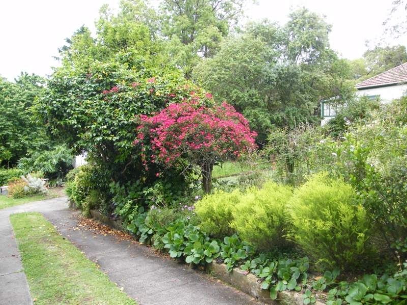 205 Midson Road, Epping NSW 2121