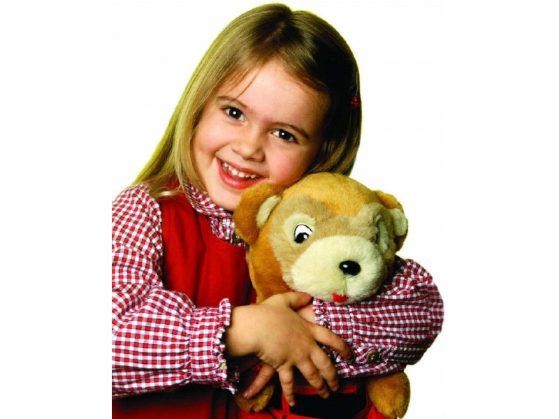 6 Westminster Road, Gladesville NSW 2111