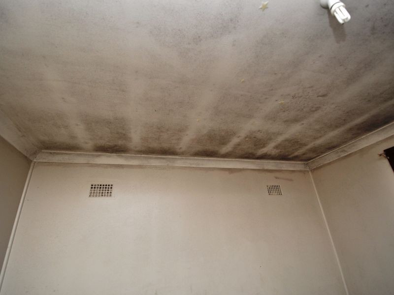 Springfield NSW 2250