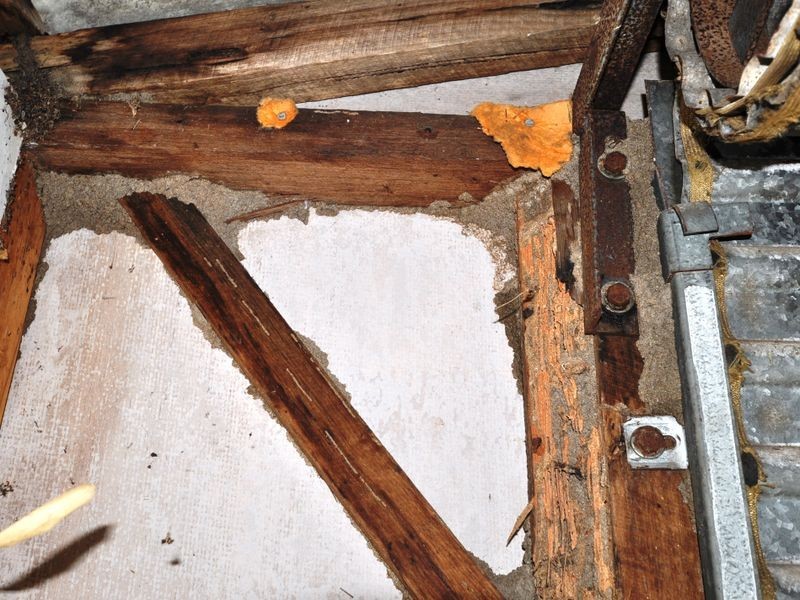 Springfield NSW 2250