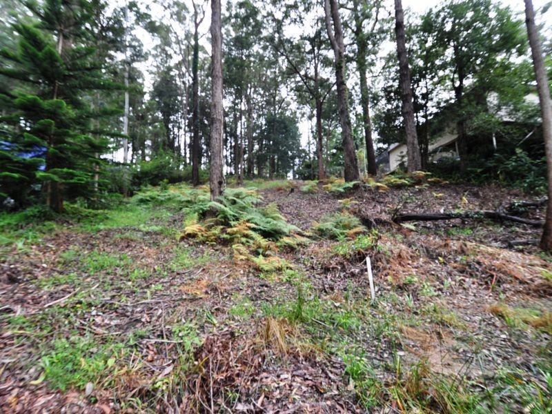 21 Hamilton Close, Niagara Park NSW 2250