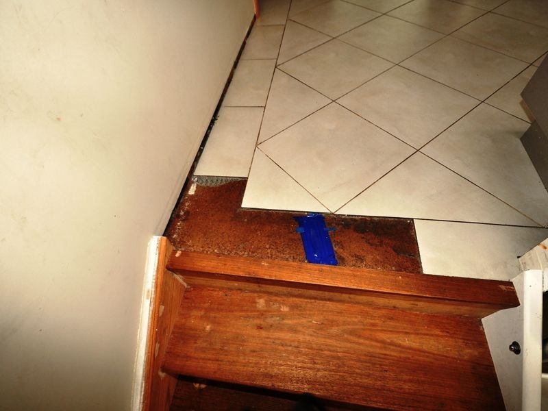 Point Clare NSW 2250