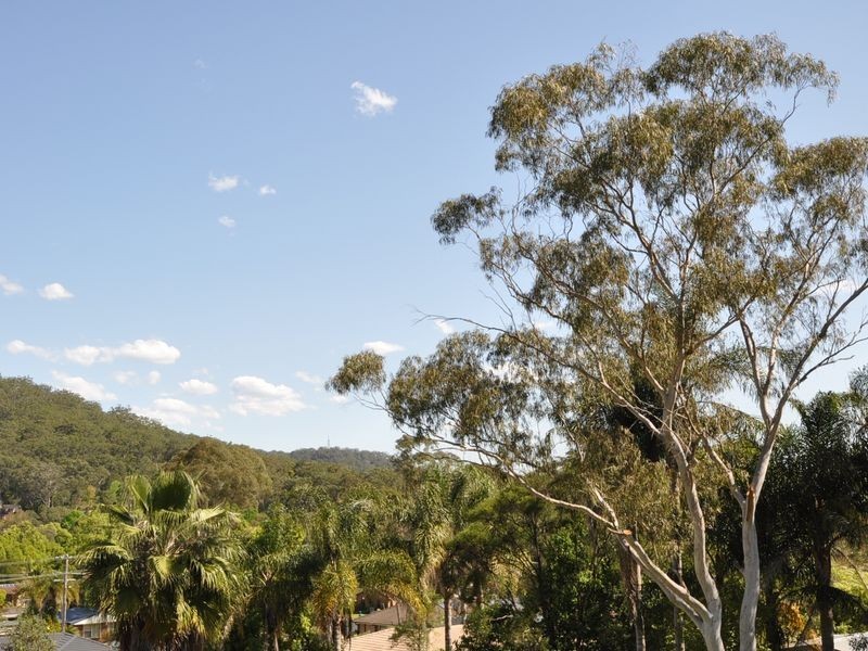 11 Elkhorn Close, Wyoming NSW 2250