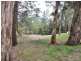 17 Muloora Road, Springfield NSW 2250