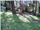 17 Muloora Road, Springfield NSW 2250