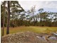 580 Wisemans Ferry Road, Somersby NSW 2250