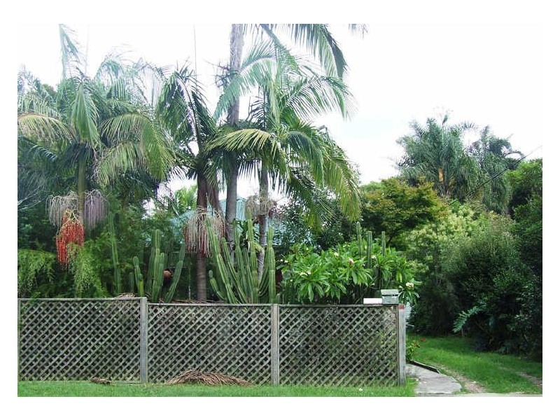 Gosford NSW 2250
