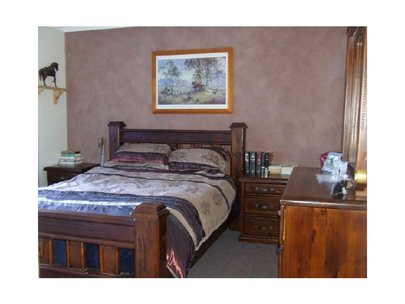 Springfield NSW 2250