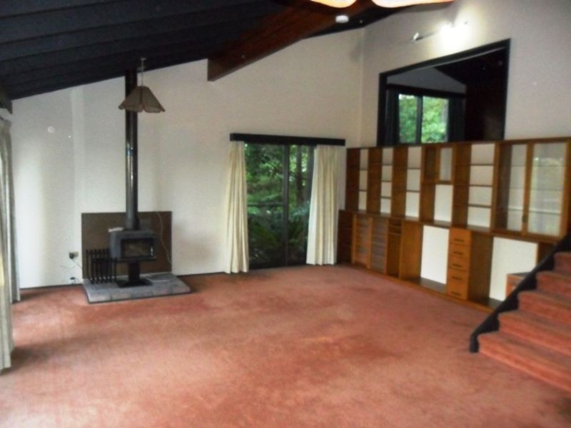 35 Dolly Avenue, Springfield NSW 2250