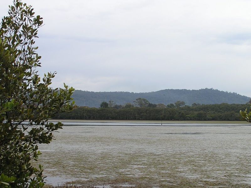 2/28 Matthews Parade, Point Clare NSW 2250