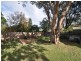 147 Wells Street, Springfield NSW 2250